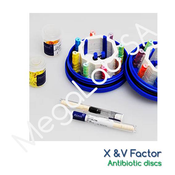 X & V Factors 1x50 discs